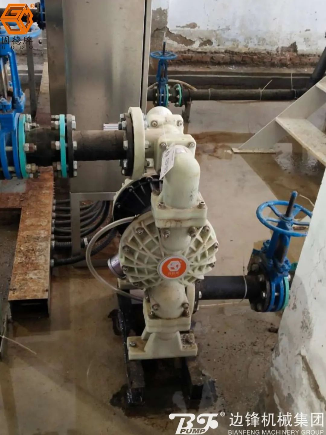 微信图片_20240527100834